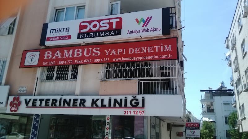 Antalya Web Ajans görseli