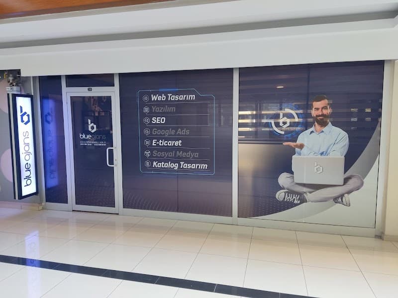Blue Ajans | Ankara Web Tasarım | SEO ve ADS Danışmanlığı | Web Yazılım görseli