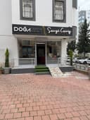 Doğa Creative | Web Tasarım Ajansı logo