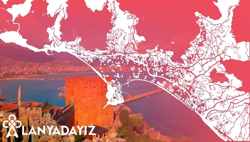 Dondurmadan Bilişim Hizmetleri görseli