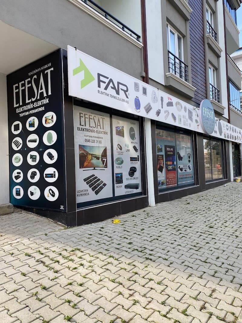 EfeSat Elektronik görseli
