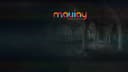 Maviay Yazılım logo