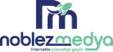 Noblez Web Tasarım Ajansı logo