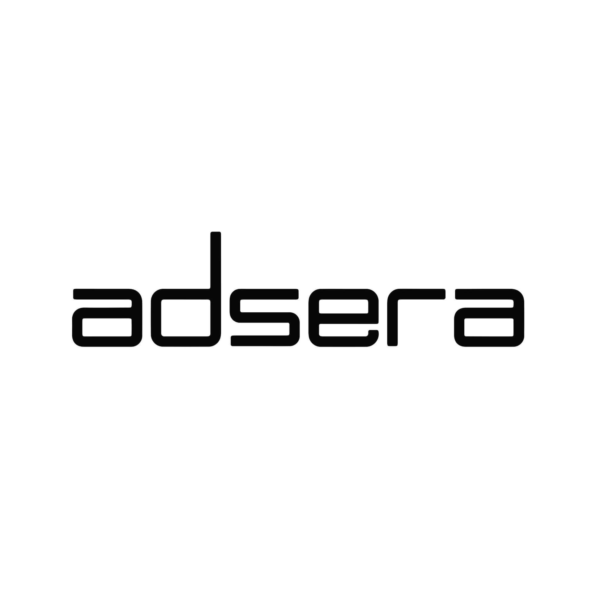 Adsera Dijital Pazarlama Ajansı görseli