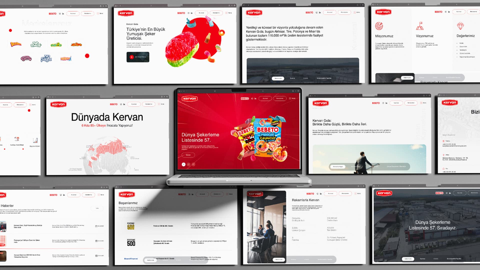 Kervan Gıda Web Sitesi Tasarımı