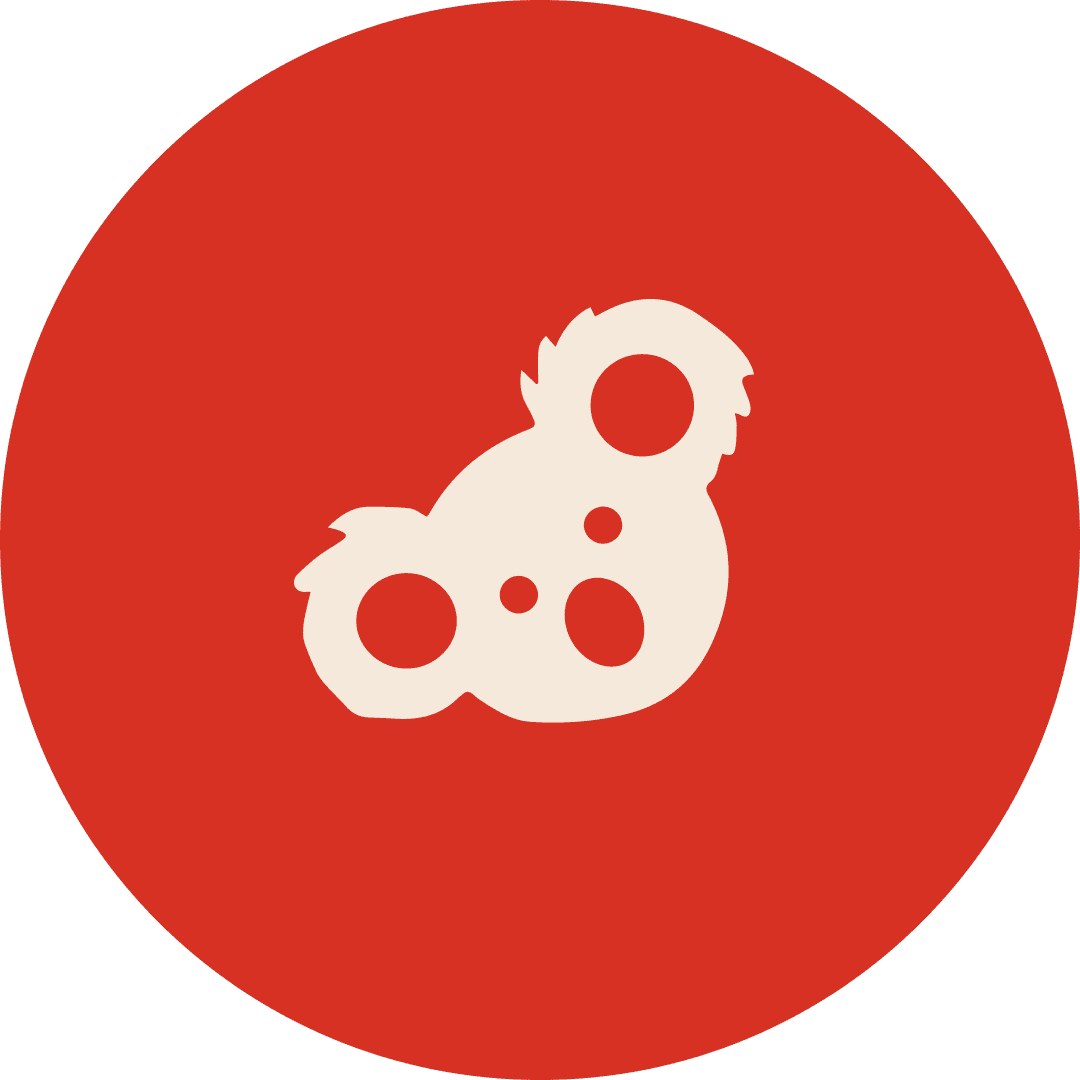 Koala Project görseli