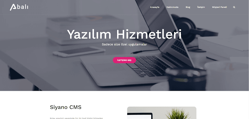 Abalı Yazılım, Web Tasarım ve İnternet Hizmetleri AŞ görseli