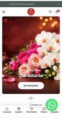 ADN Bilişim Web tasarım ve SEO Hizmeti logo