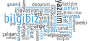 BilgiBiz Yazılım, Donanım, Prodüksiyon Ltd logo