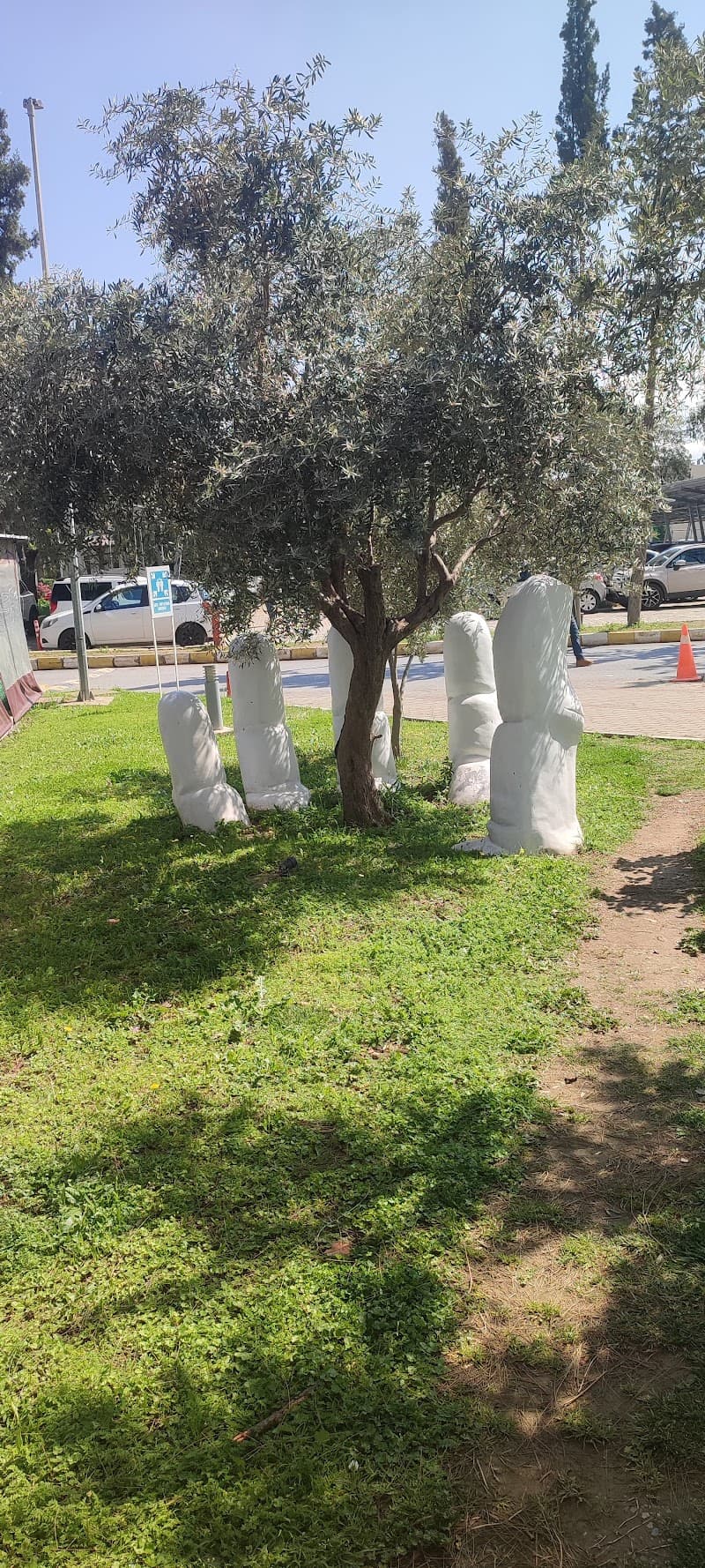 DEPARK - Dokuz Eylül Üniversitesi Teknoparkı görseli