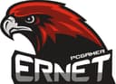 ER-NET TEKNOLOJİ logo