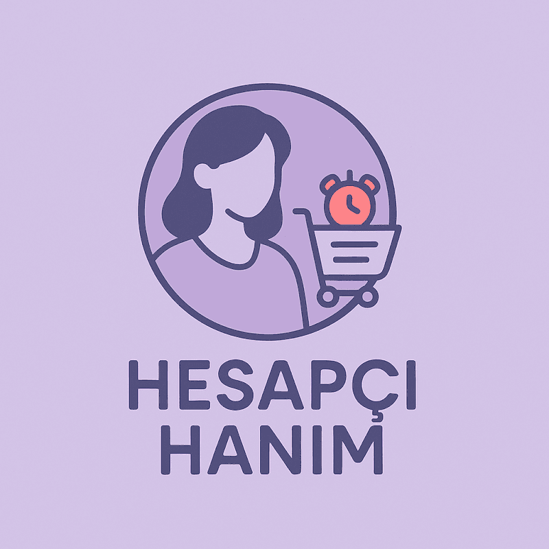 Hesapçı Hanım görseli