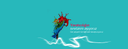 IWT Dijital Medya Ajansı logo