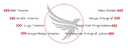 Karakuş Bilişim logo