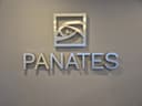 Panates Teknoloji Yatırım A.Ş. logo