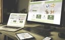 Pozitif Ekip - Profesyonel Web Tasarım Ajansı logo