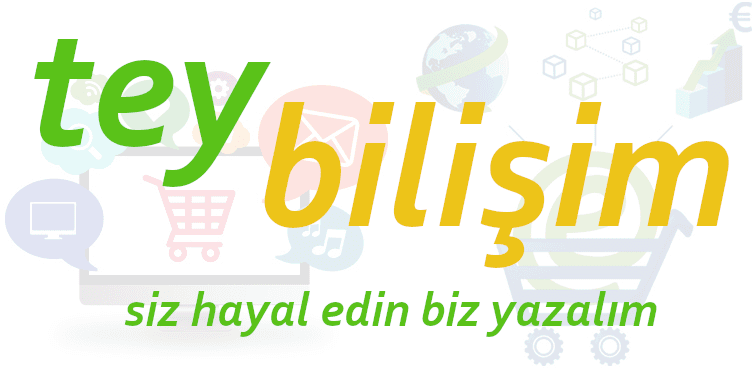 TEY Bilişim görseli