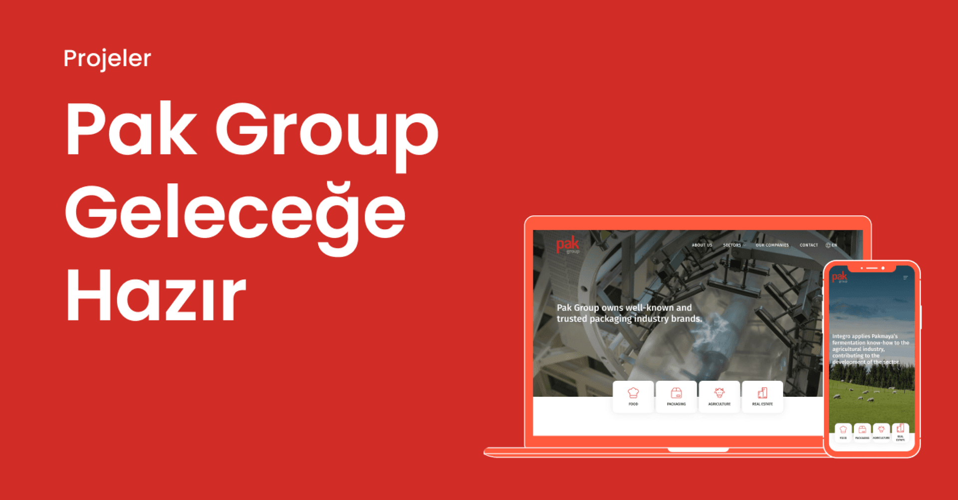 Pak Group Web Projesi