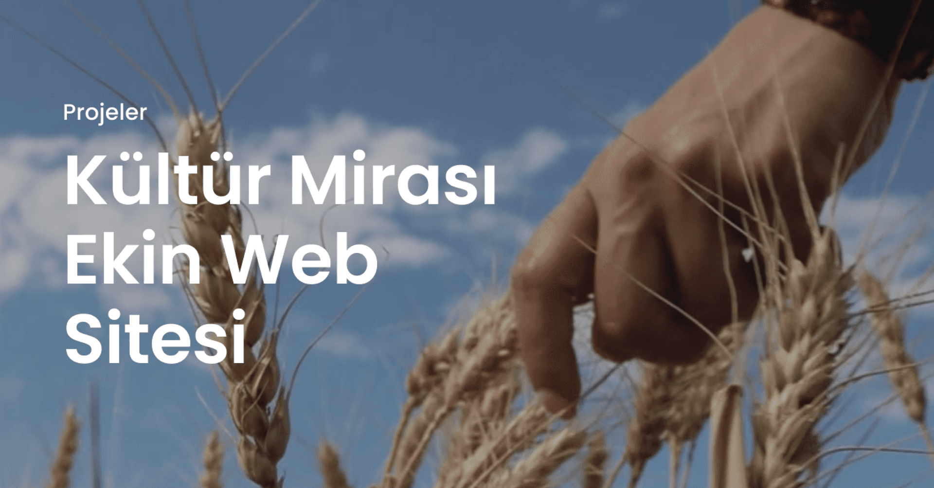 Ekin Web Projesi